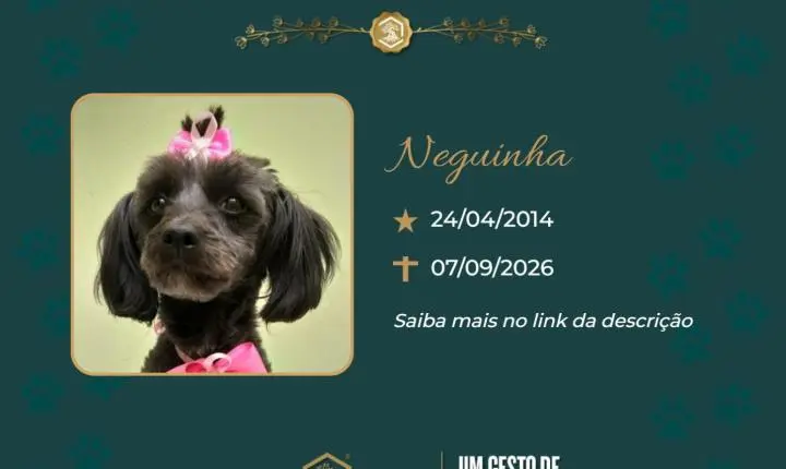 O Grupo Sinsef, se despede de Neguinha
