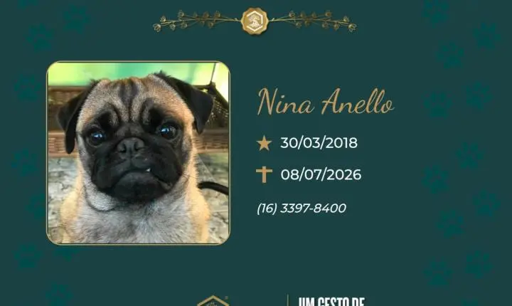 O Grupo Sinsef se despede de Nina Anello