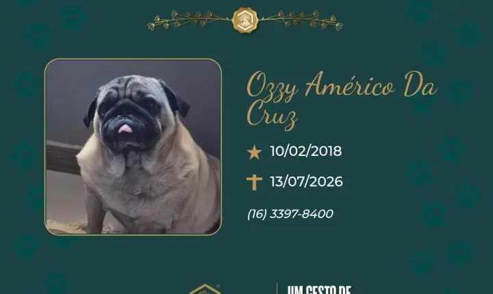 O Grupo Sinsef se despede de Ozzy Américo da Cruz 
