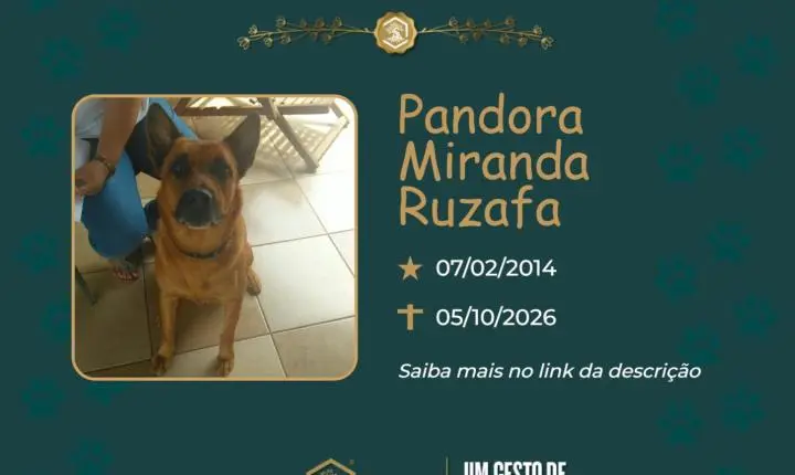 O Grupo Sinsef se despede de Pandora Miranda 