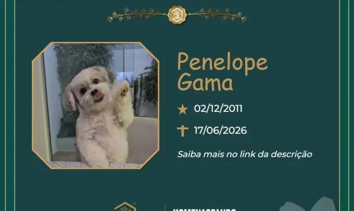 O Grupo Sinsef se despede de Penélope Gama