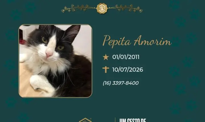 O Grupo Sinsef se despede de Pepita Amorim 