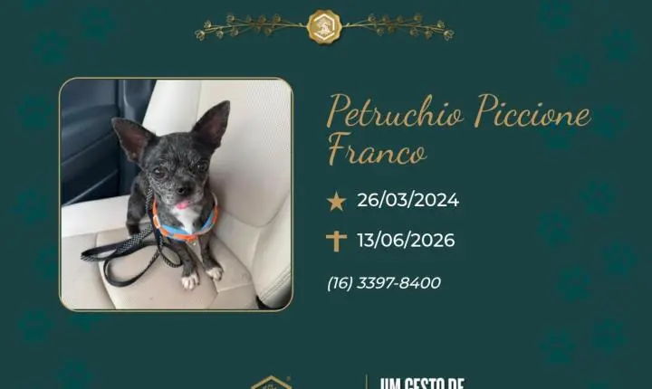 O Grupo Sinsef se despede de Petruchio Piccione Franco 