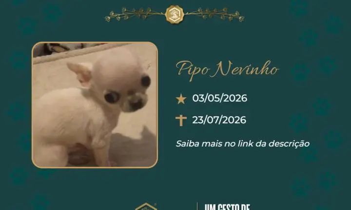 O Grupo Sinsef se despede de Pipo Nevinho