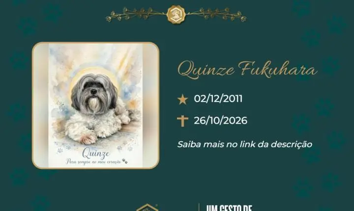 O Grupo Sinsef se despede de Quinze Fukuhara