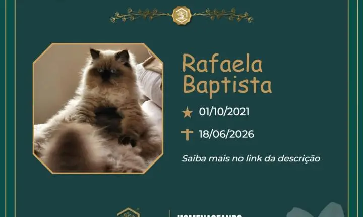 O Grupo Sinsef se despede de Rafaela Baptista
