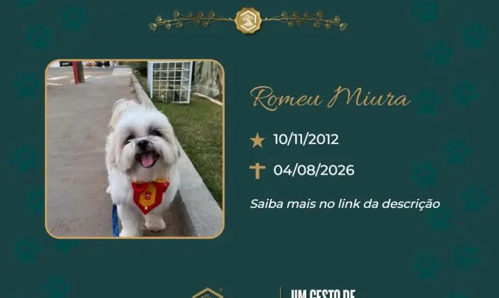 O Grupo Sinsef se despede de Romeu