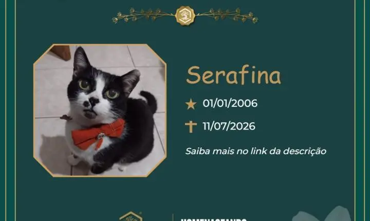 O Grupo Sinsef se despede de Serafina