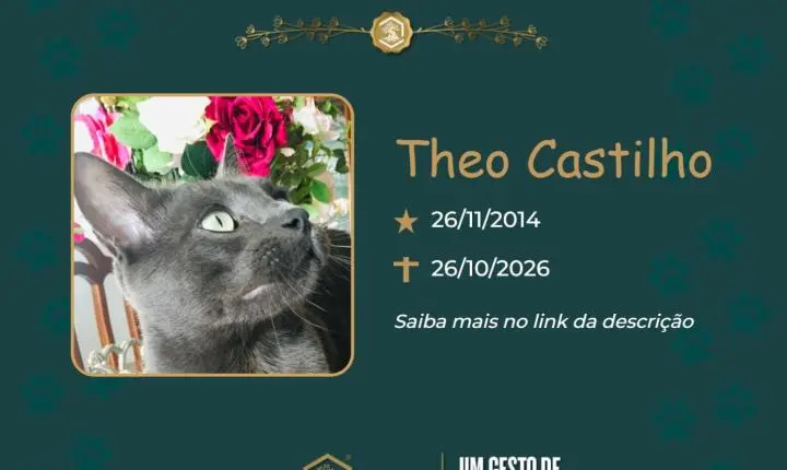 O Grupo Sinsef se despede de Theo