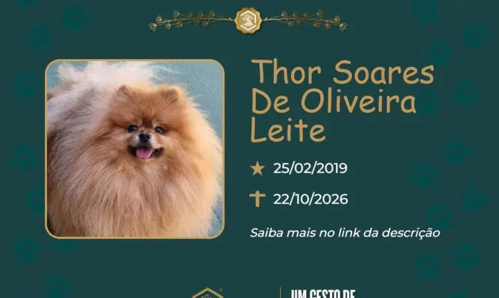 O Grupo sinsef se despede de Thor