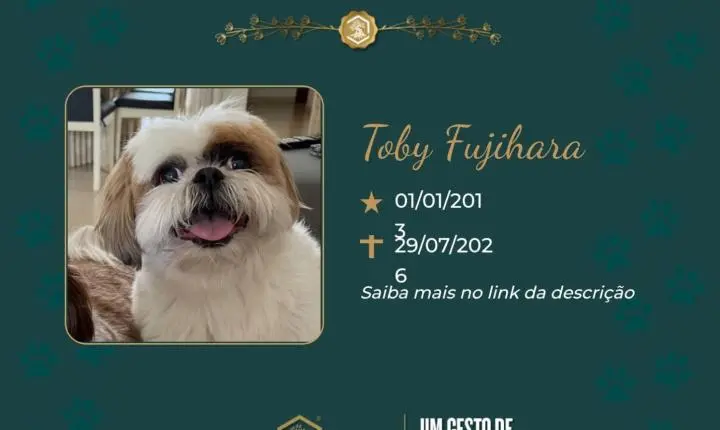 O Grupo Sinsef se despede de Toby Fujihara 