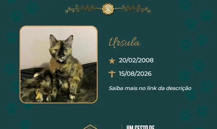 O Grupo Sinsef se despede de Ursula