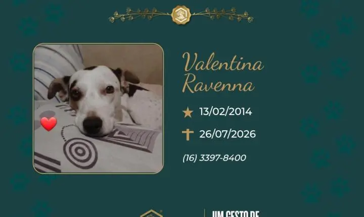 O Grupo Sinsef se despede de Valentina Ravenna 