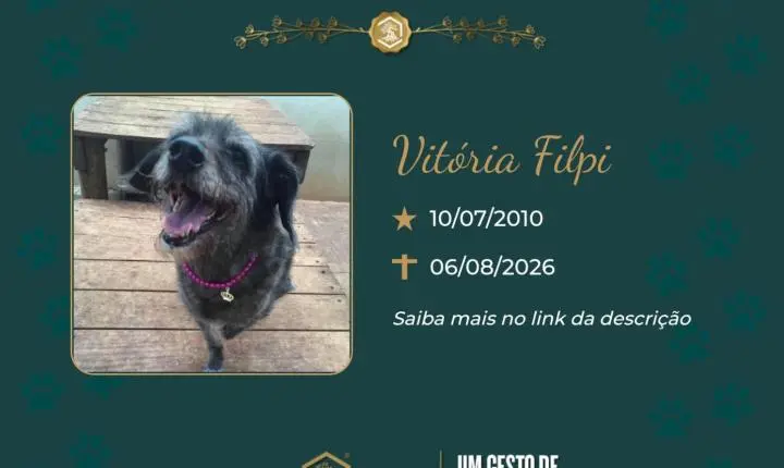O Grupo Sinsef se despede de Vitória Filpi 