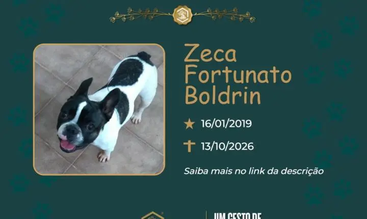 O Grupo Sinsef se despede de Zeca Boldrin