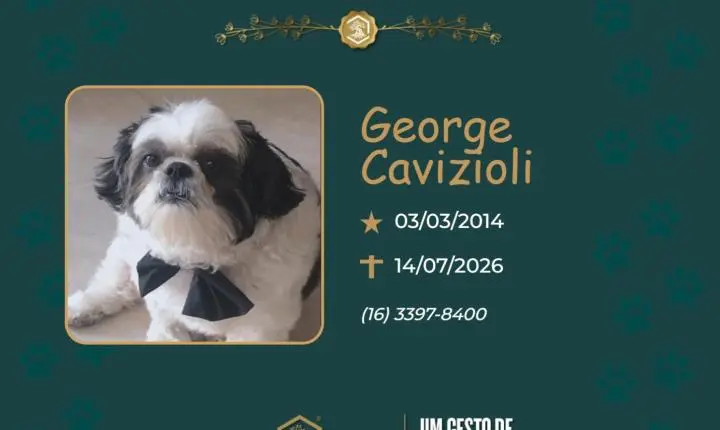 O Grupo Sinsef se despede do George Cavizioli
