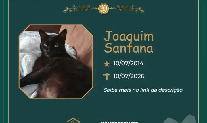 O Grupo Sinsef se despede do Joaquim