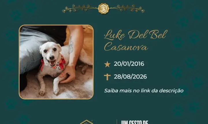 O Grupo Sinsef se despede do Luke Del Bel Casanova