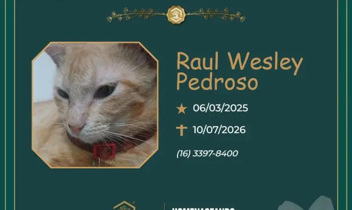 O Grupo Sinsef se despede do Raul Wesley