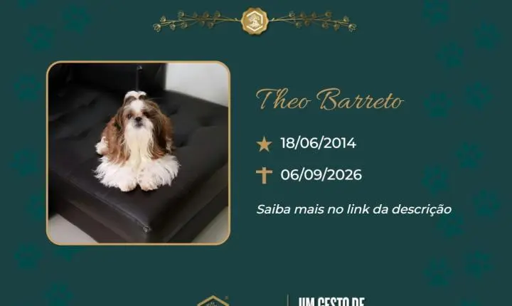 O Grupo Sinsef se despede do Theo Barreto