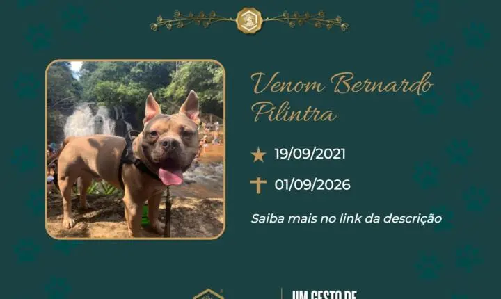 O Grupo Sinsef se despede do Venon