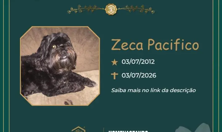O Grupo Sinsef se despede do Zeca