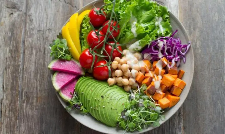 O Veganismo Pode Ajudar o Indivíduo a Se Libertar da Dependência Química?