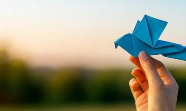 Oficina de origami convida público a explorar a arte das dobraduras em Araraquara