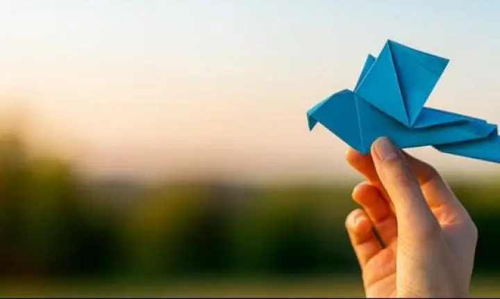 Oficina gratuita de origami convida público a aprender dobraduras em Araraquara