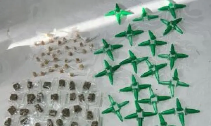 Operação Corpus Christi resulta em apreensão de drogas em Ibaté