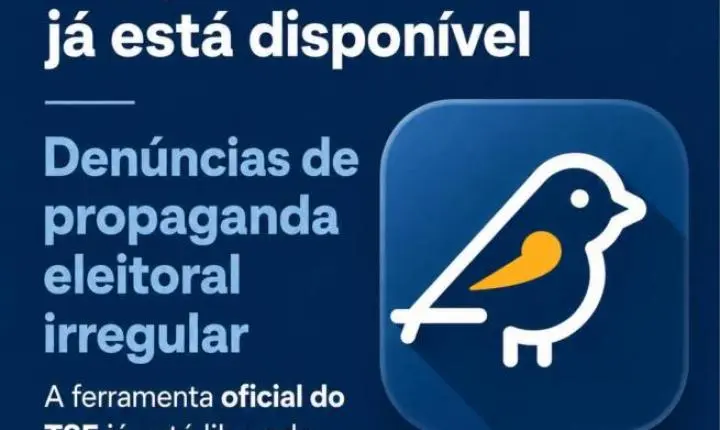 Saiba como fazer uma denúncia eleitoral de irregularidades pelo TSE