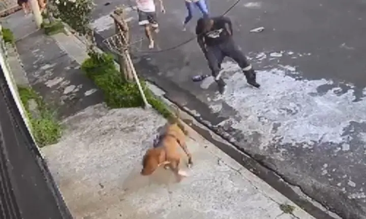 Pai relata socorro a menino vítima de ataque de pitbull em São Carlos