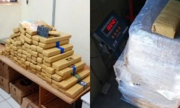 Polícia apreende 100 quilos de maconha e prende suspeito por tráfico em Porto Ferreira