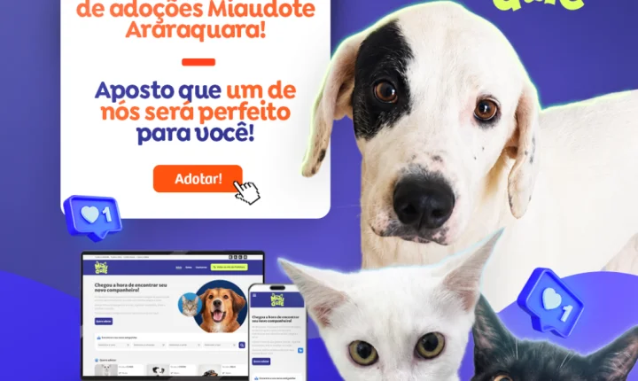 Araraquara lança plataforma digital pioneira para adoção responsável de pets