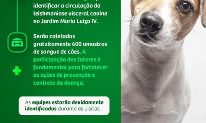 Araraquara inicia inquérito sorológico para leishmaniose visceral canina no Jardim Maria Luiza IV