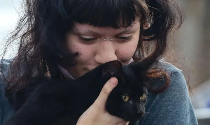 Programa da prefeitura de São Paulo oferece castração gratuita para cães e gatos