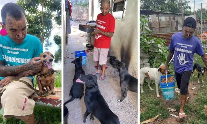 Adriano Lemos cuida de cem cães e gatos em Itirapina e busca criar abrigo próprio