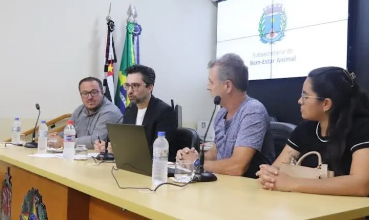 Protetoras de animais alertam para abrigos lotados e clamam por diálogo com a Prefeitura