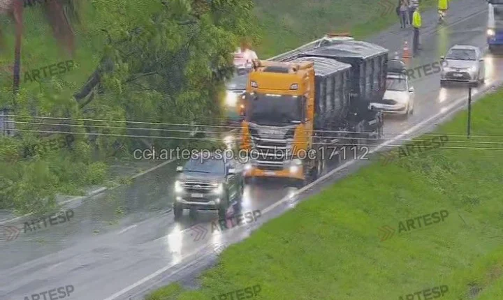 Queda de árvore bloqueia tráfego na SP-310