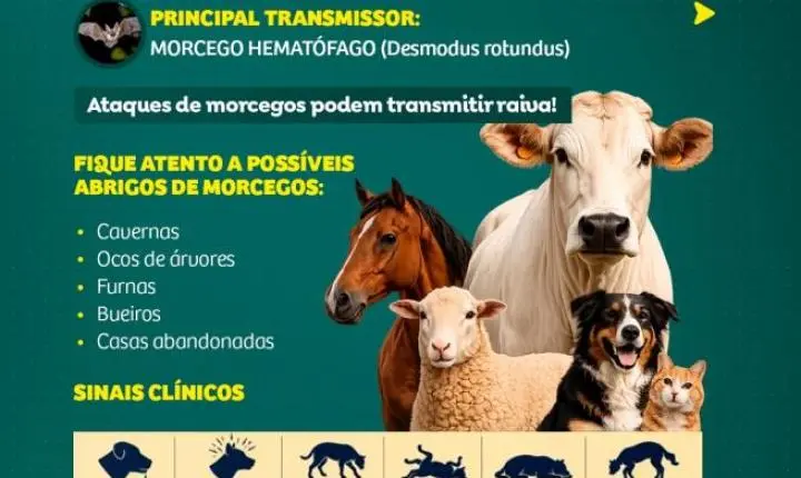 Raiva em animais: Defesa Agropecuária reforça medidas de prevenção e canais de notificação