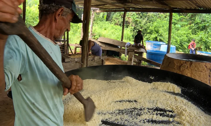 Raízes da longevidade: da terra à renda, indígenas 60+ transformam saberes ancestrais em sustento e patrimônio