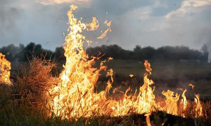 Câmara cobra informações sobre prevenção a incêndios em Araraquara