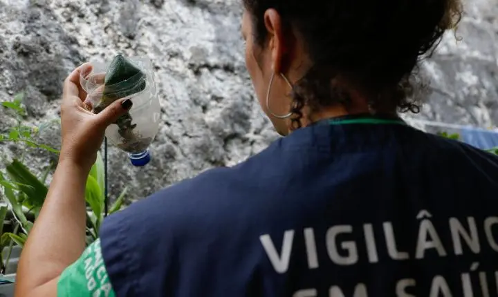 Dengue em São Paulo supera 58 mil casos e registra 42 óbitos