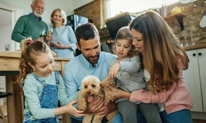 Saúde da família e dos pets: quando procurar avaliação profissional