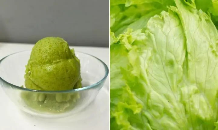 Inovação culinária: como surgiu o surpreendente sorvete de alface