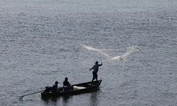 Universidade do Mar ganha vida no Rio de Janeiro