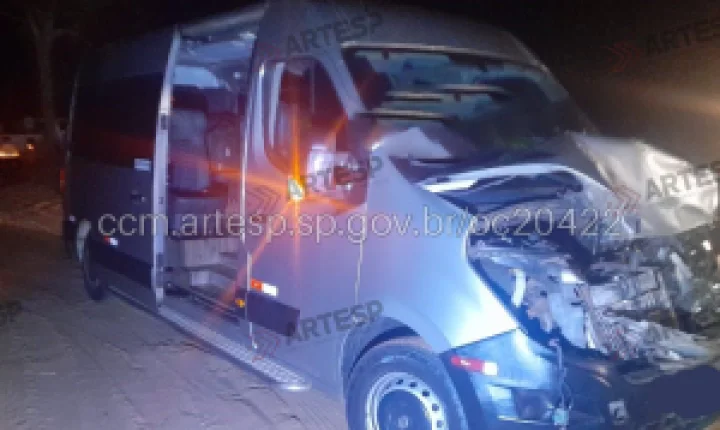 Van colide com boi em acidente na SP-197 na região de Brotas