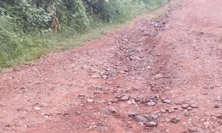 Via em Araraquara precisa de máquina niveladora para melhorar tráfego