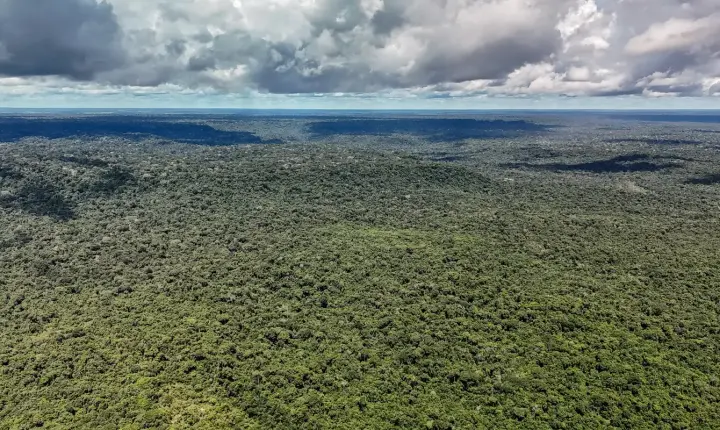 Ministério da Fazenda autoriza US$ 1 bilhão do BID para o Eco Invest Brasil